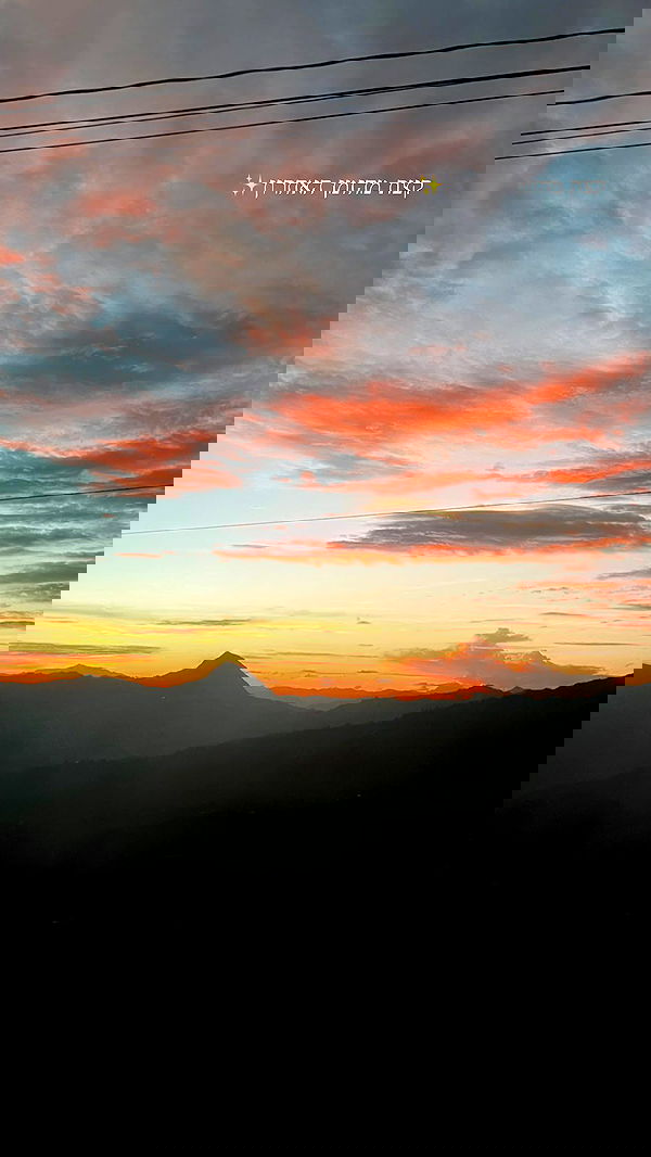 roni__moalem image ~ Altpins