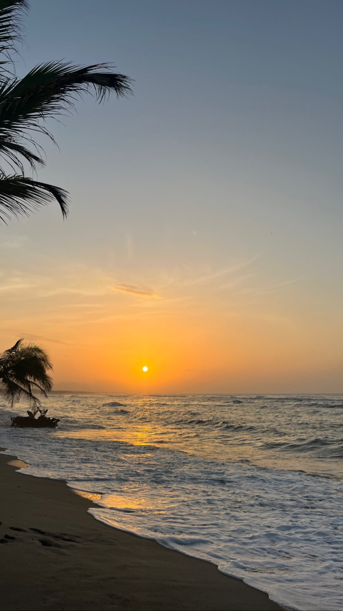 roni__moalem instagram image archive image