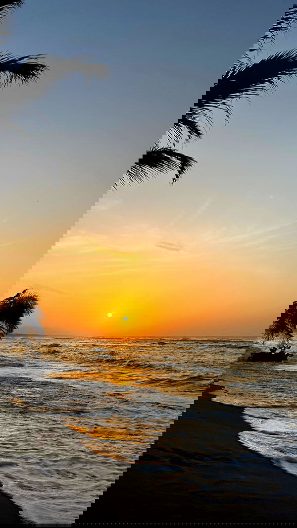 roni__moalem image ~ Altpins