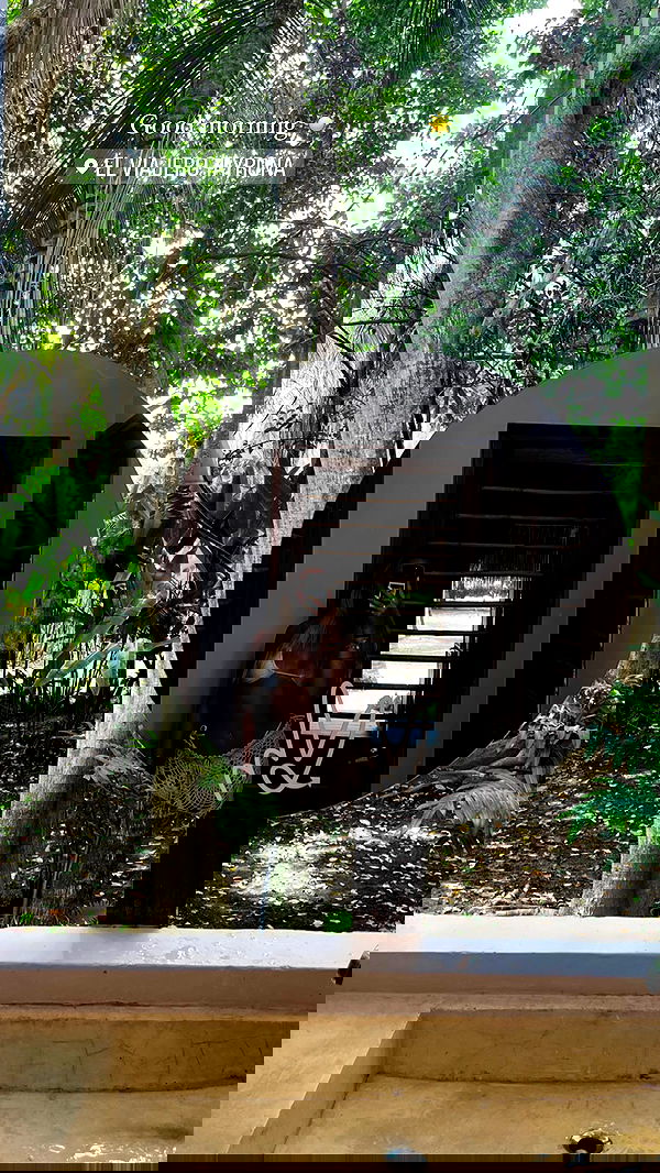 roni__moalem image ~ Altpins