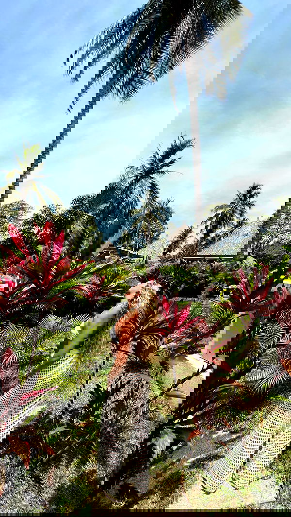 roni__moalem image ~ Altpins