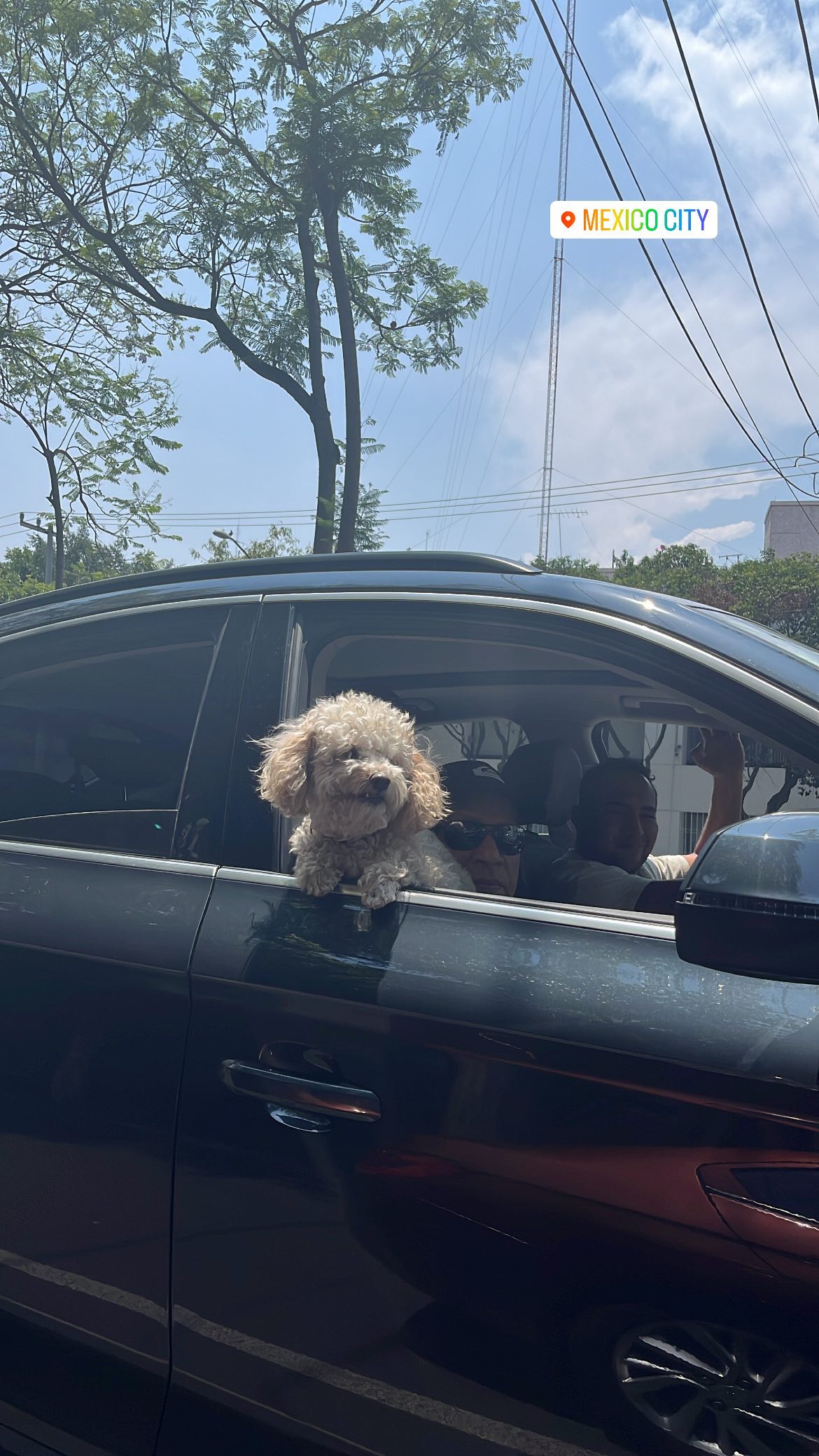 roni__moalem instagram image archive image