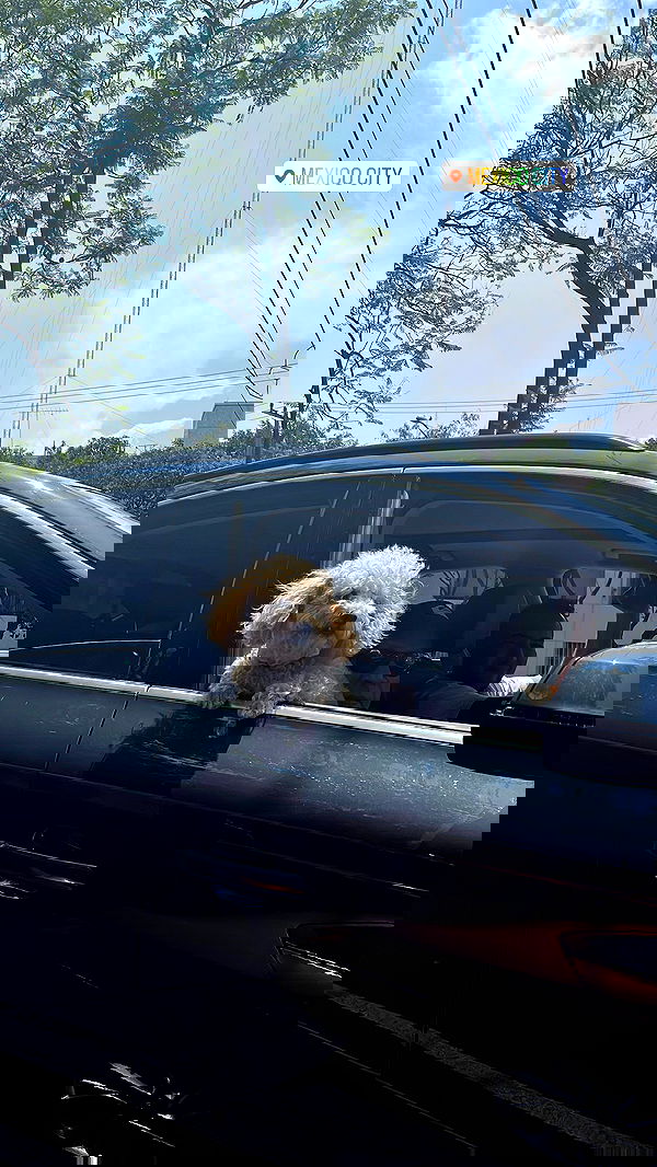 roni__moalem image ~ Altpins