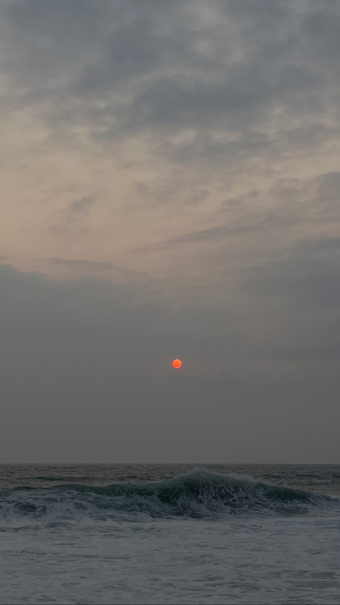 roni__moalem instagram image archive image