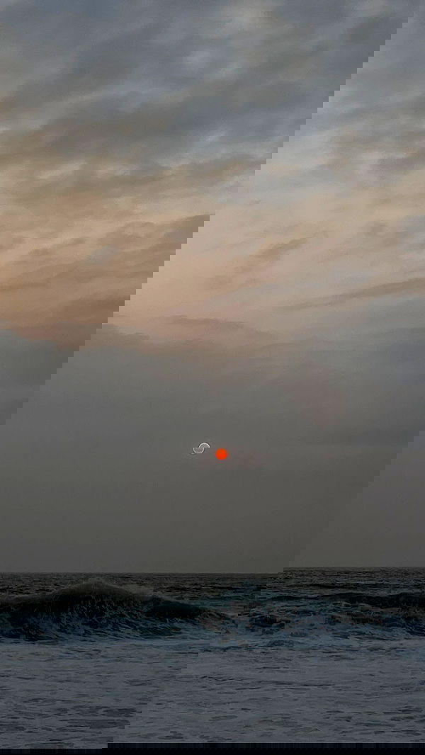 roni__moalem image ~ Altpins