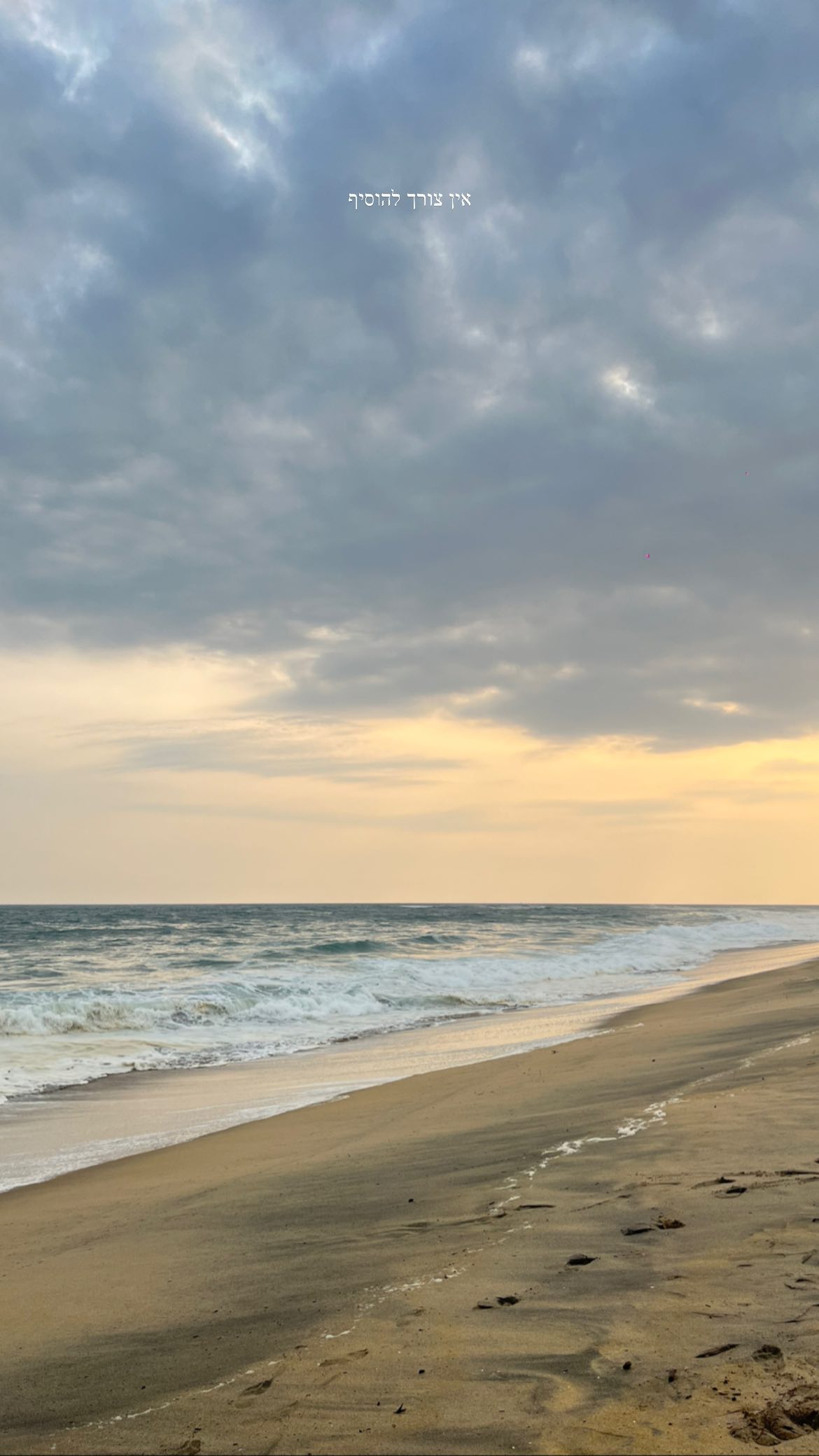 roni__moalem instagram image archive image