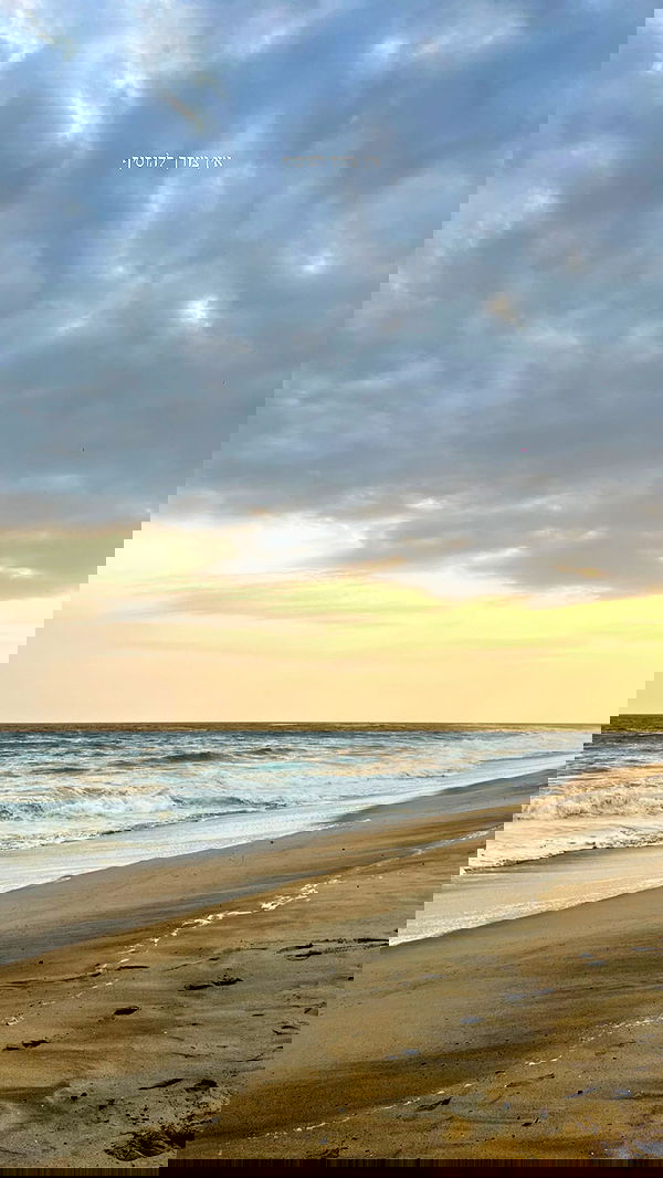 roni__moalem image ~ Altpins