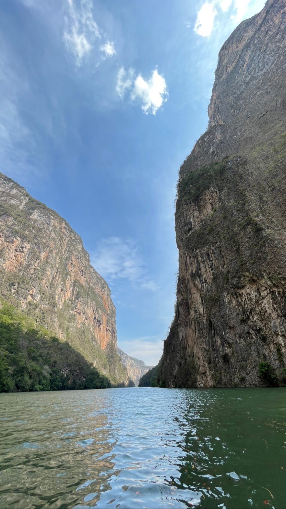 roni__moalem instagram image archive image