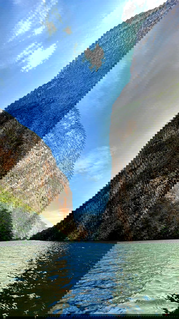 roni__moalem image ~ Altpins