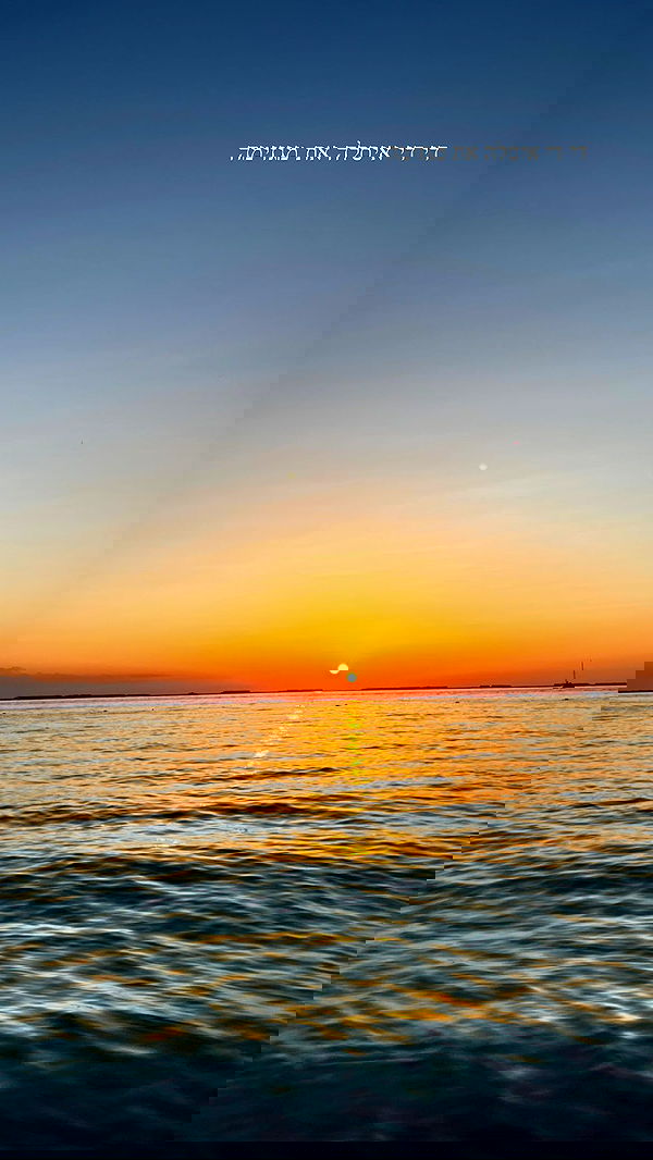 roni__moalem image ~ Altpins