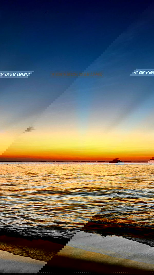 roni__moalem image ~ Altpins