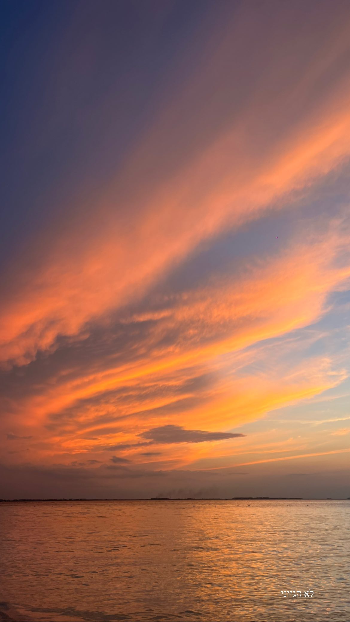 roni__moalem instagram image archive image