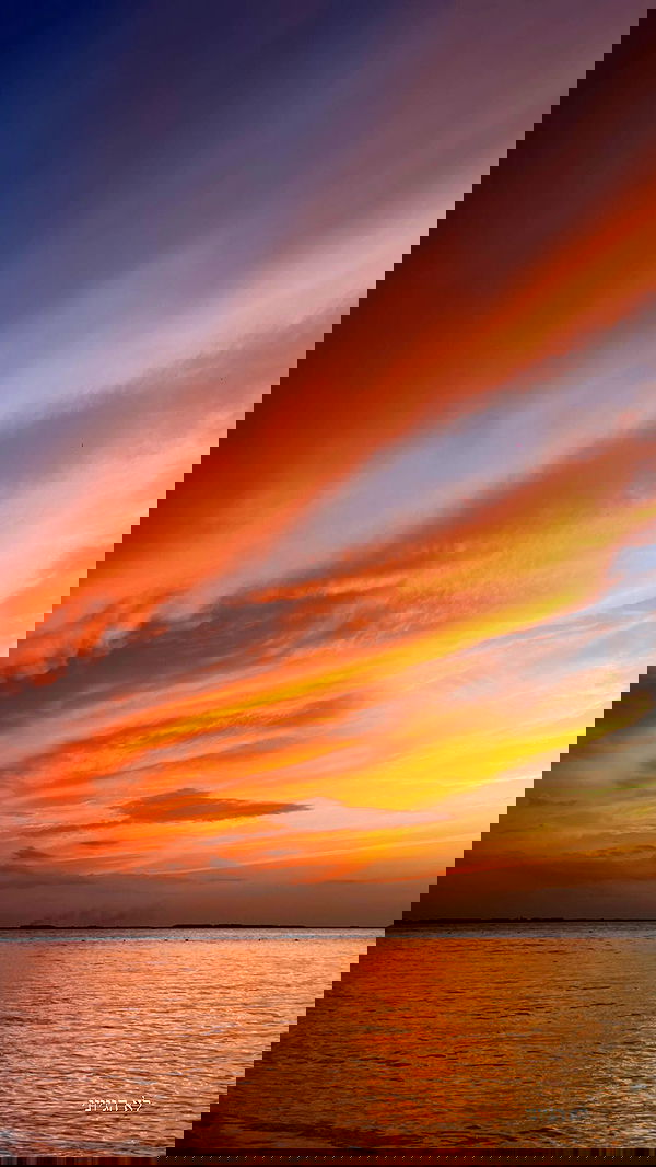 roni__moalem image ~ Altpins