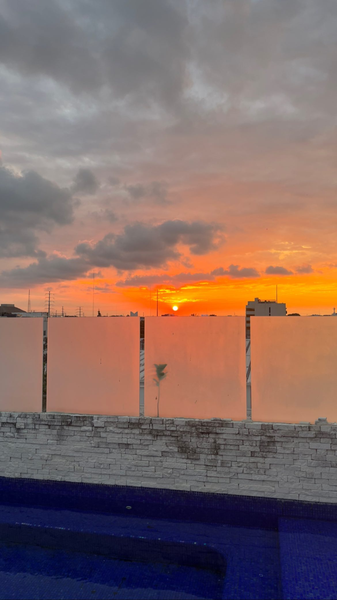 roni__moalem instagram image archive image