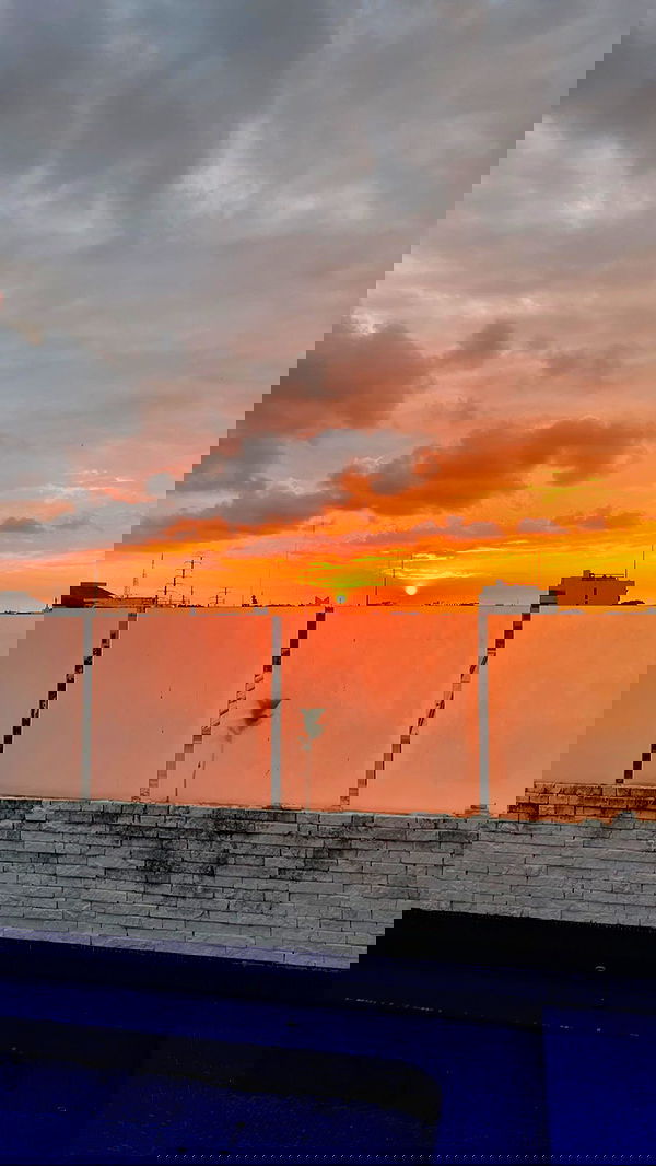 roni__moalem image ~ Altpins