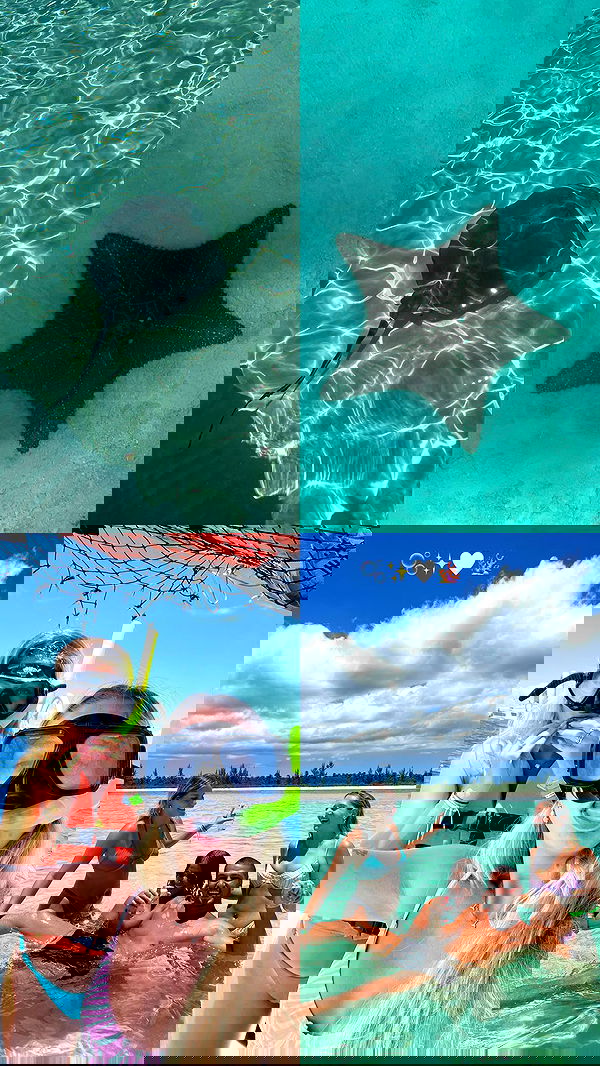 roni__moalem image ~ Altpins