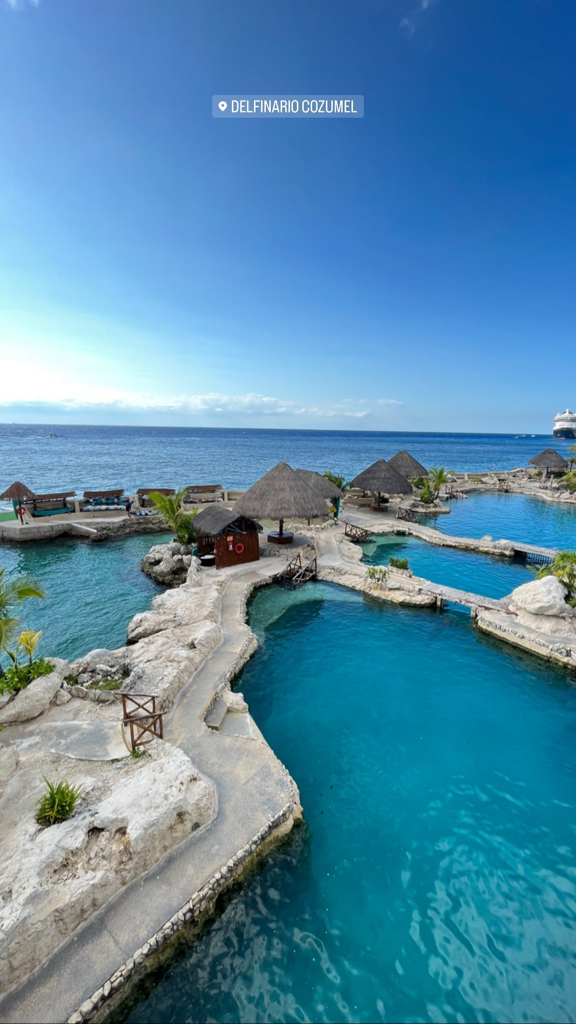 roni__moalem instagram image archive image