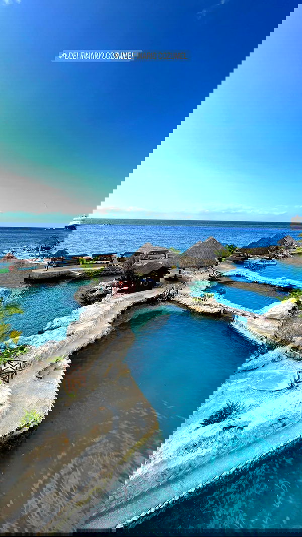 roni__moalem image ~ Altpins