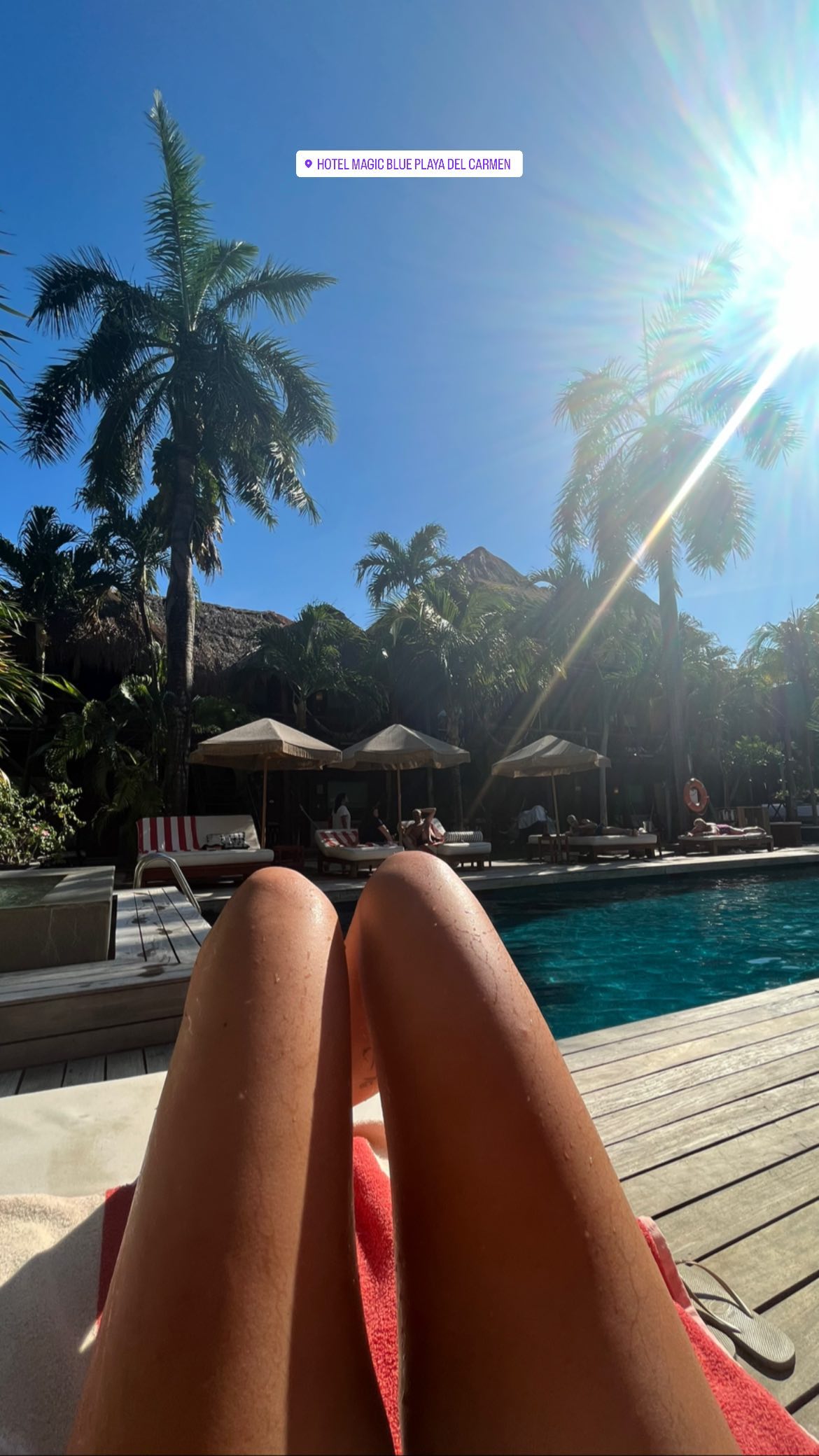 roni__moalem instagram image archive image