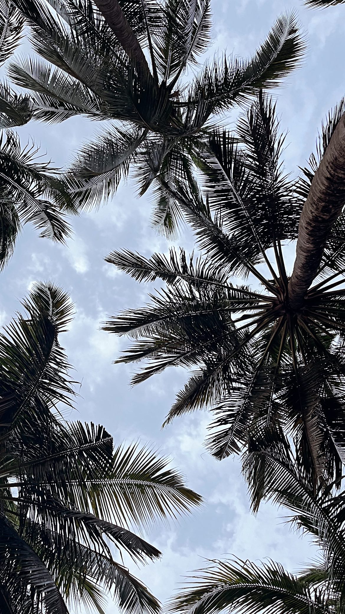 roni__moalem instagram image archive image