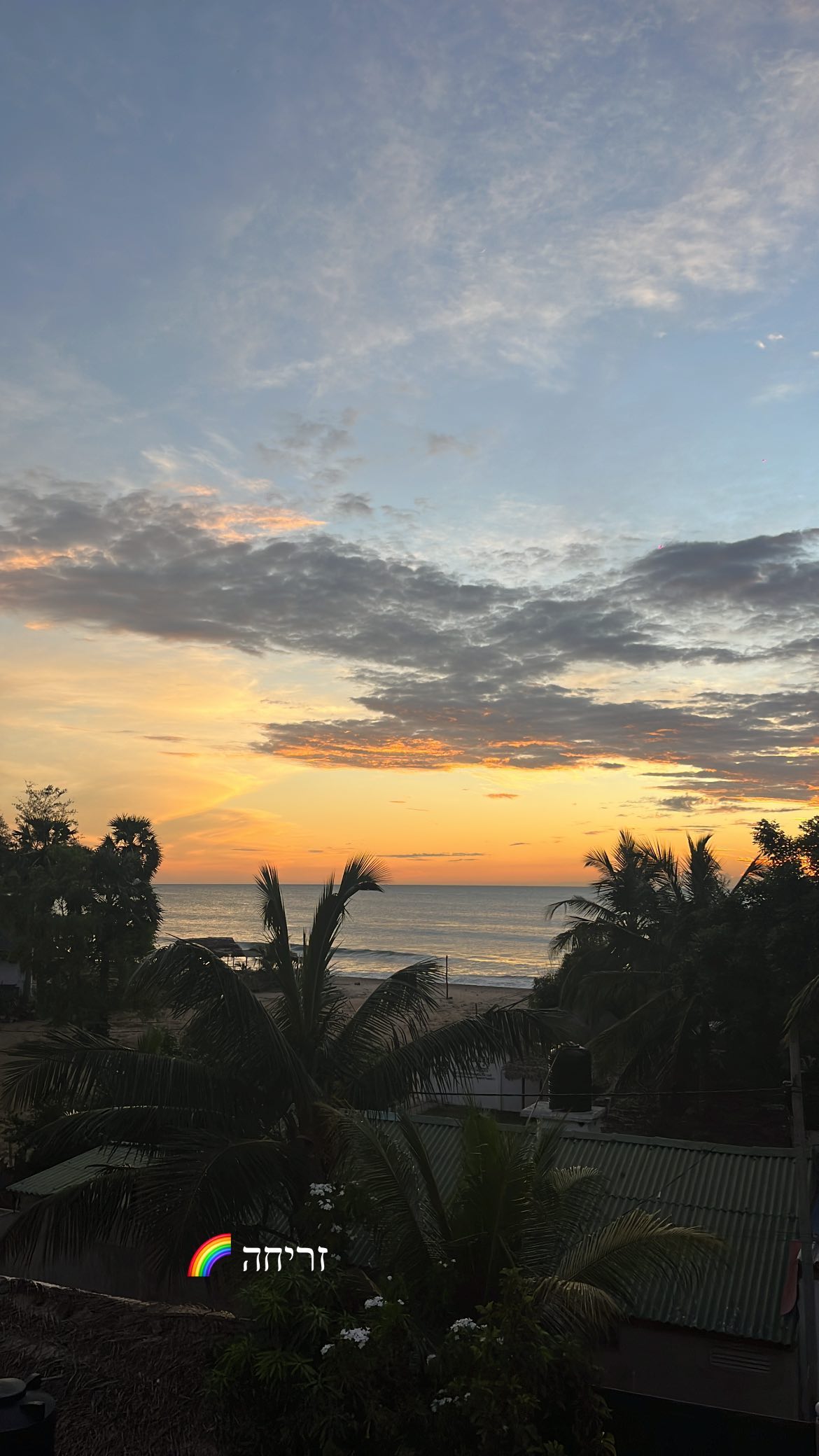 roni__moalem instagram image archive image