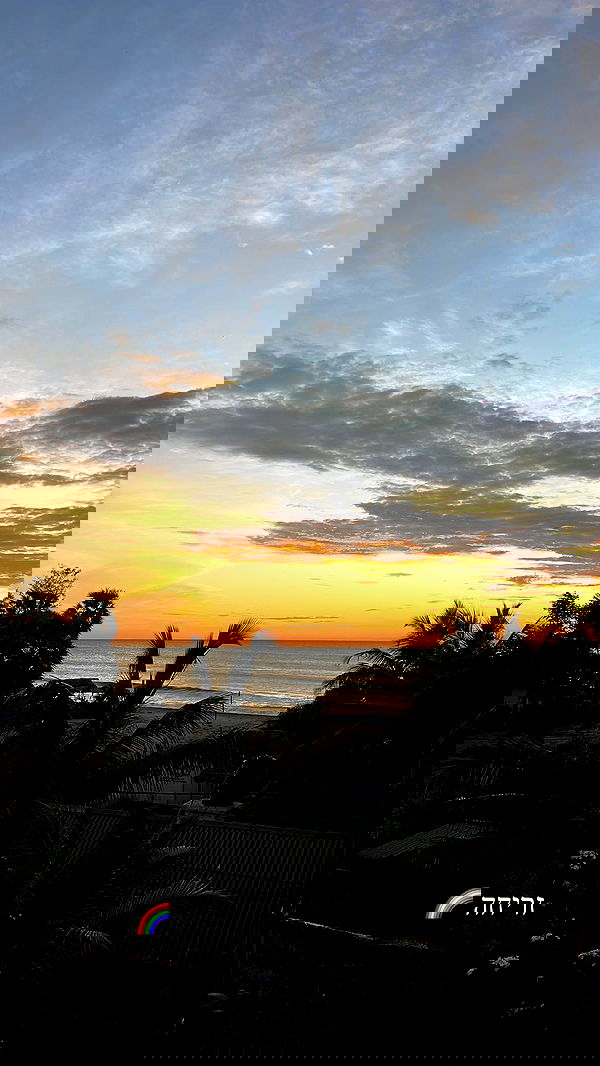 roni__moalem image ~ Altpins