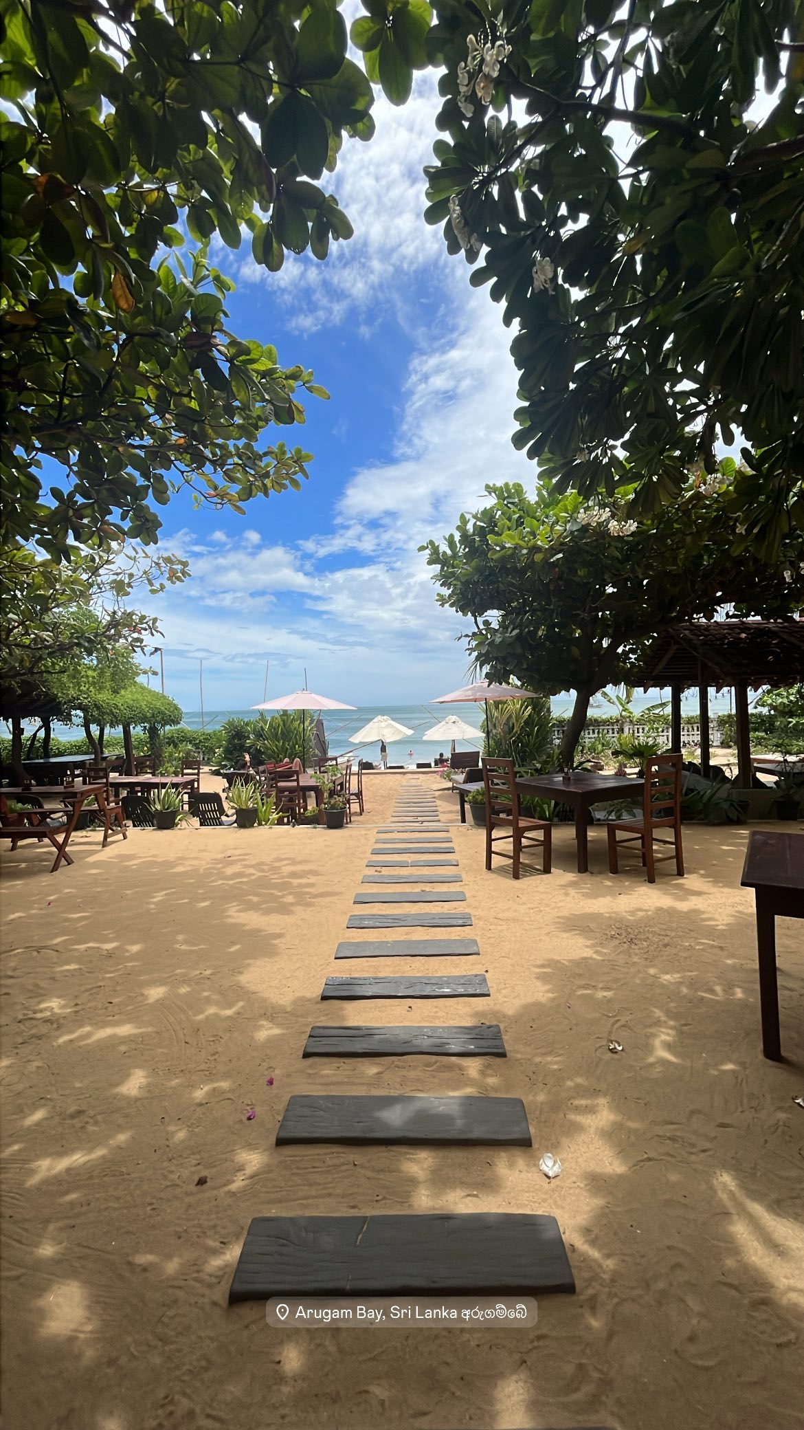 roni__moalem instagram image archive image