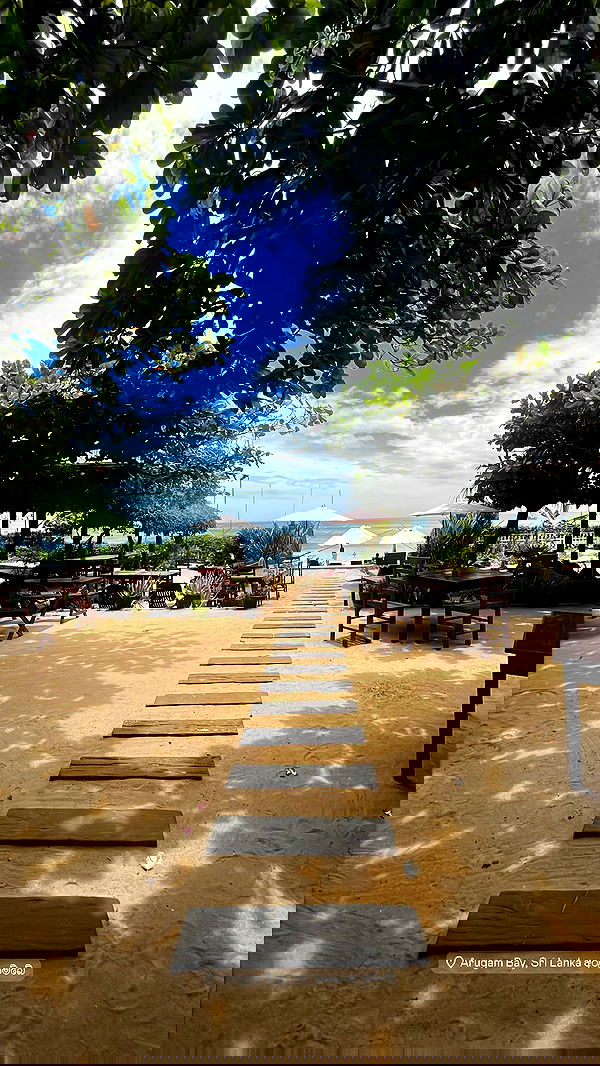 roni__moalem image ~ Altpins