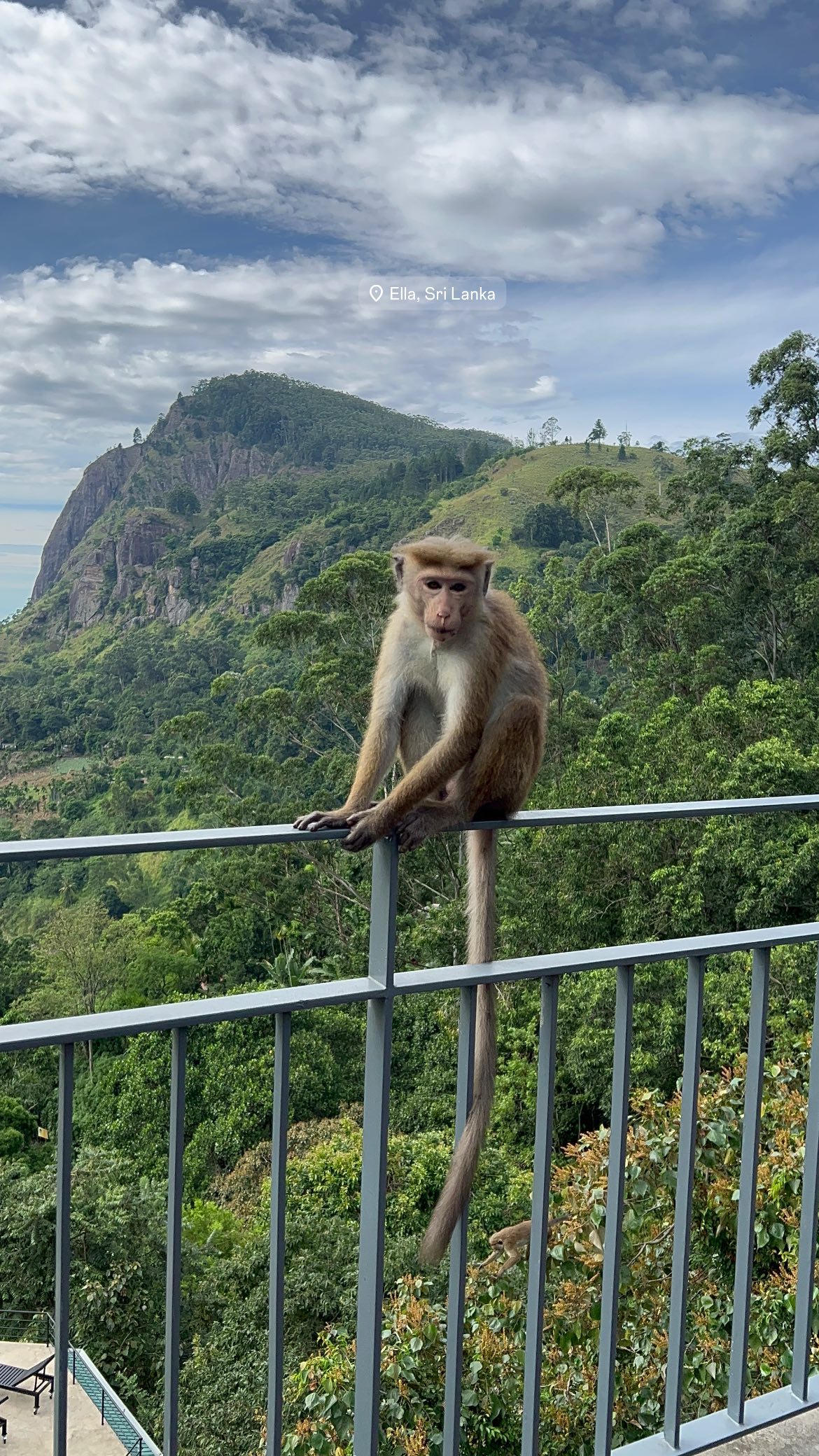 roni__moalem instagram image archive image