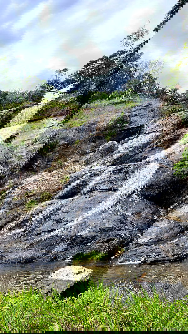 roni__moalem image ~ Altpins