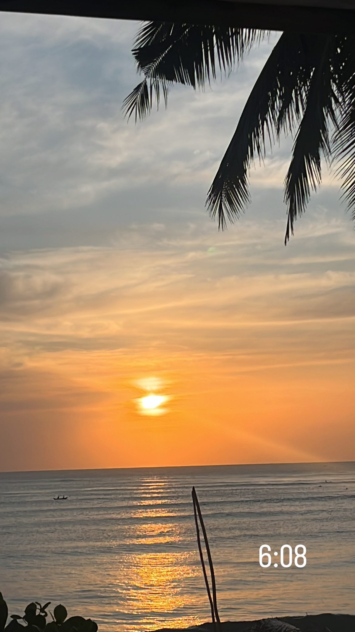 roni__moalem instagram image archive image