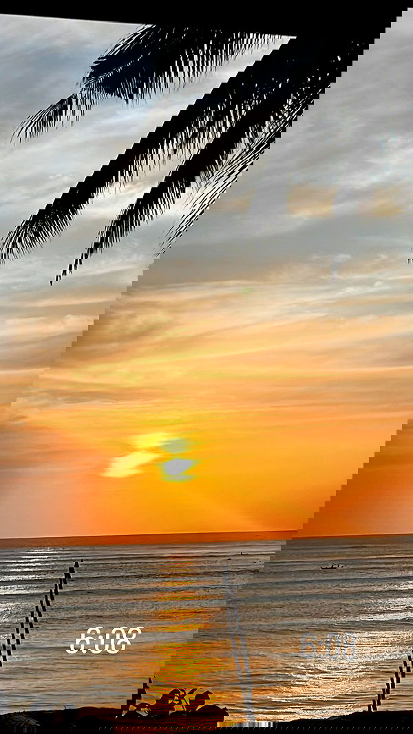 roni__moalem image ~ Altpins