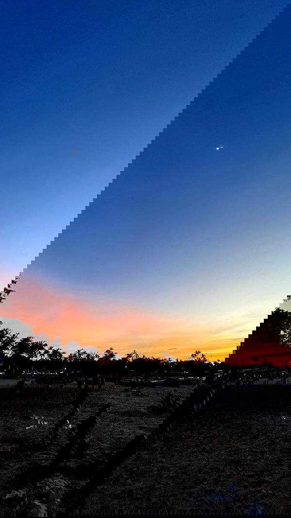 roni__moalem image ~ Altpins