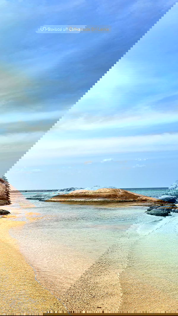 roni__moalem image ~ Altpins