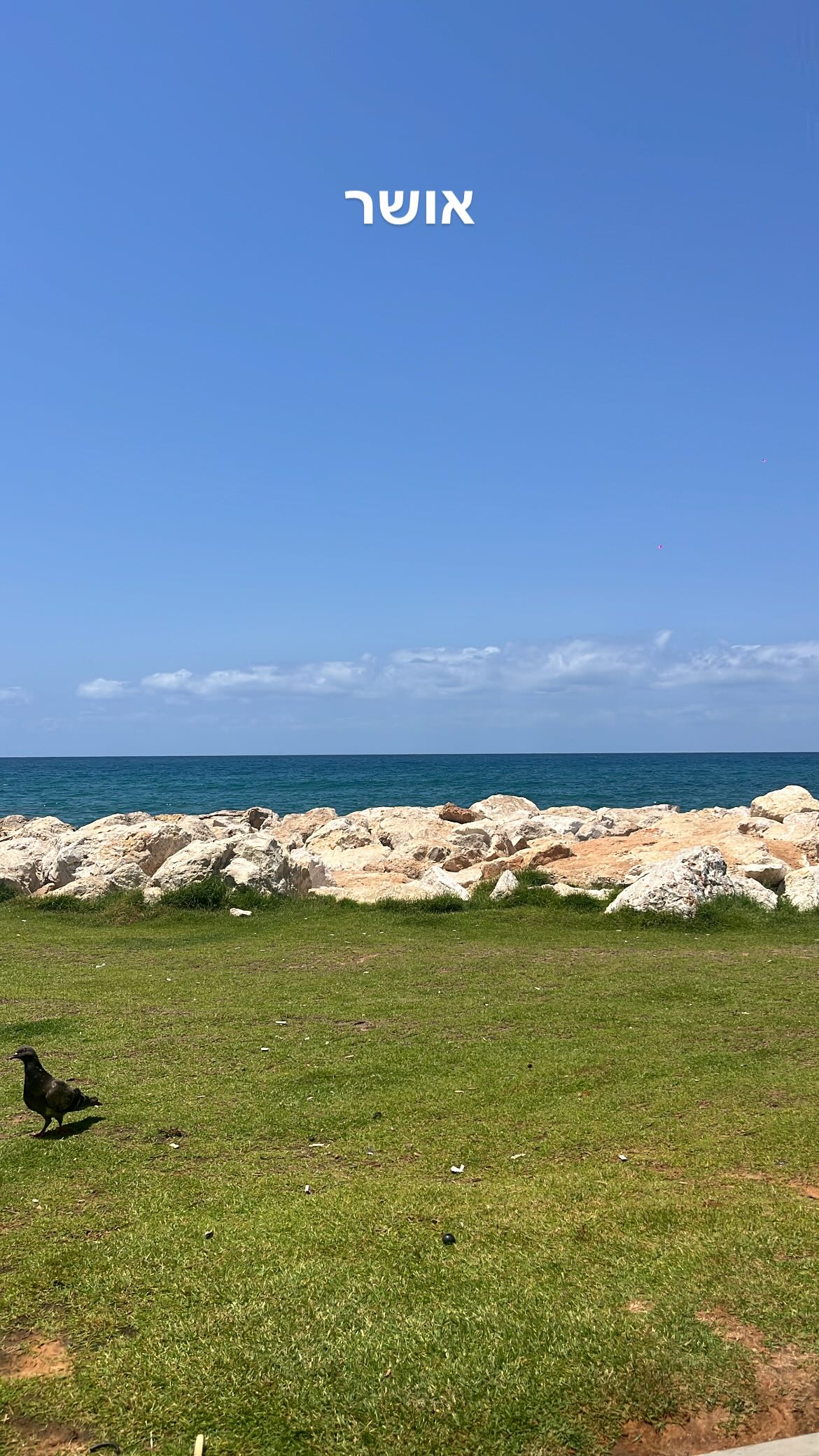 roni__moalem instagram image archive image