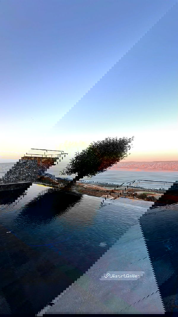 roni__moalem image ~ Altpins