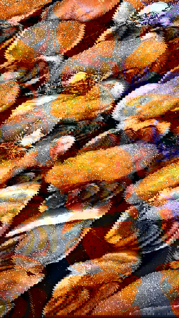 roni__moalem image ~ Altpins