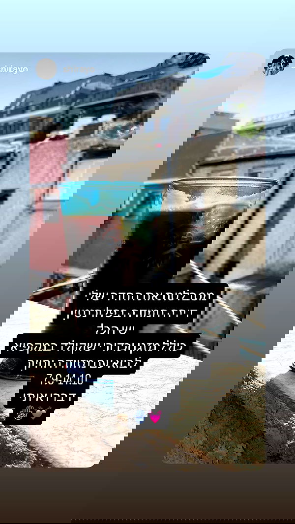 roni__moalem image ~ Altpins