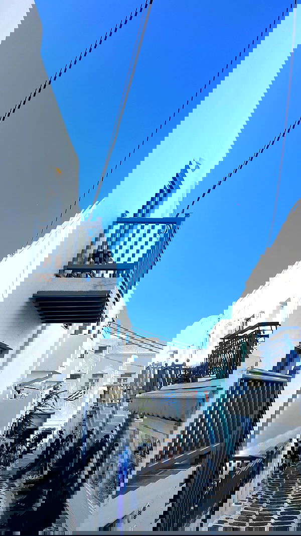 roni__moalem image ~ Altpins