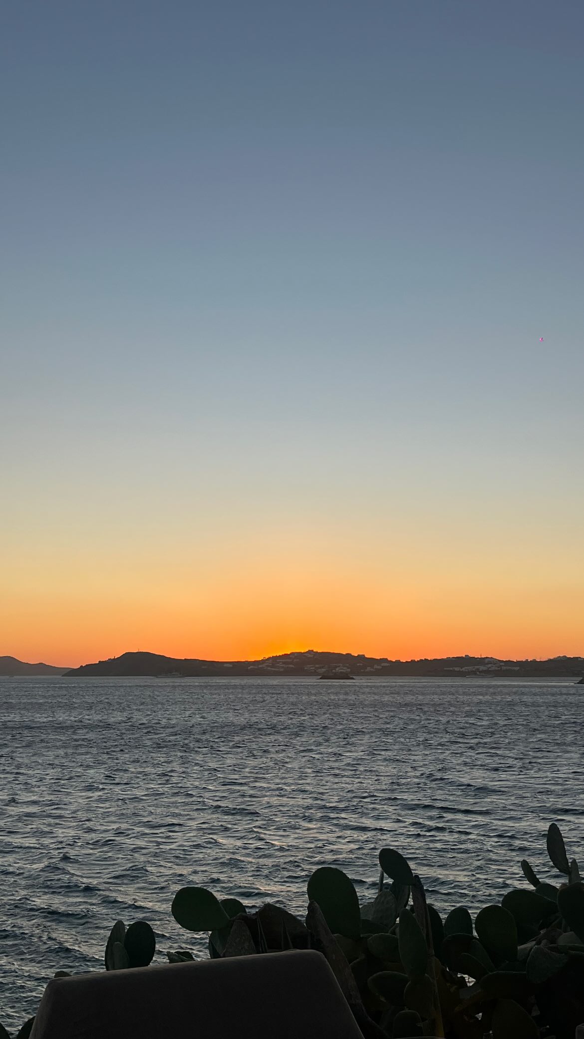 roni__moalem instagram image archive image