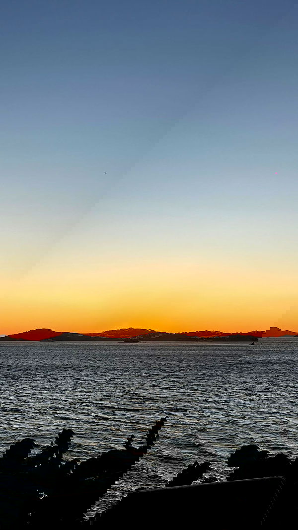 roni__moalem image ~ Altpins