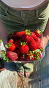 roni_ackerman Altpins Profile Picture
