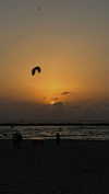 roni_ackerman Altpins Profile Picture
