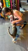 roni_ackerman Altpins Profile Picture