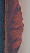 roni_ackerman Altpins Profile Picture