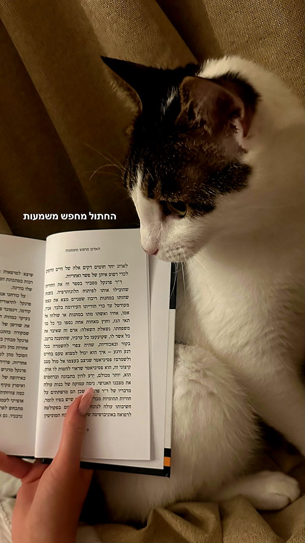 roni_ackerman instagram image archive image