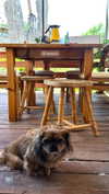 roni_ackerman Altpins Profile Picture