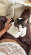 roni_ackerman Altpins Profile Picture