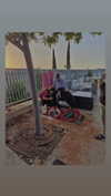 roni_ackerman Altpins Profile Picture