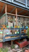 roni_ackerman Altpins Profile Picture